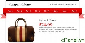 shopping_news_letter